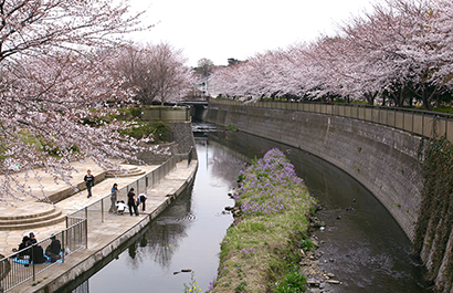 Soshigaya Park