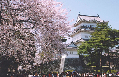 Odawara Joshi Park