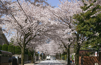 Saikachi-koji Street