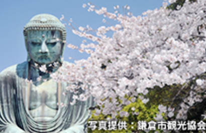 Kamakura Great Buddha - Kotaku-in temple