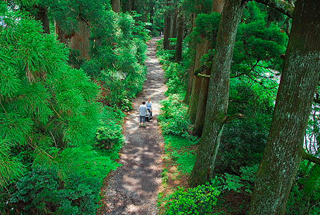 Cedar Avenue