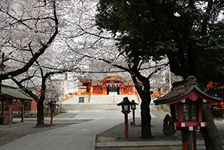 坐落于都市中心的神社