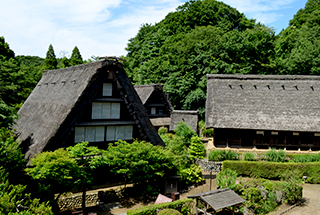 Japan Open-air Folk House Museum of Kawasaki