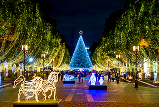 Tama Center Illumination