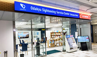 Ask at a Odakyu Sightseeing Service Center