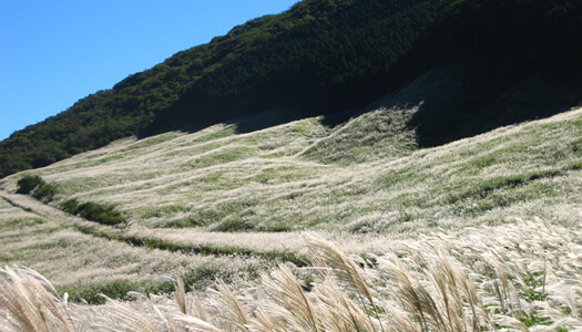 Sengokuhara