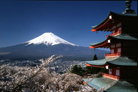 Arakura-yama Sengen Park Cherry Blossom Matsuri (festival)