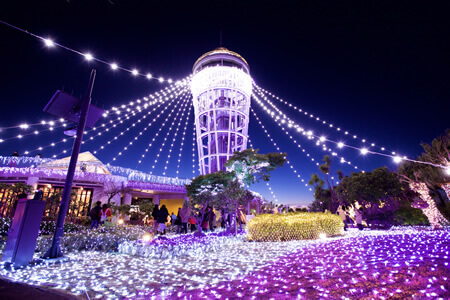 The Gems of Shonan (Enoshima Sea Candle Illumination)