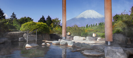 GREEN PLAZA HAKONE