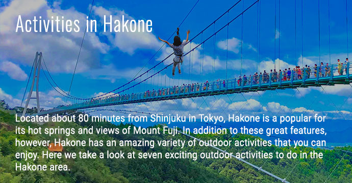 Activities in Hakone