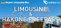 http://LIMOUSINE%20&%20HAKONE%20FREE%20PASS