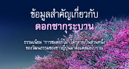 ข้อมูลดอกซากุระบาน (ซากุระ)