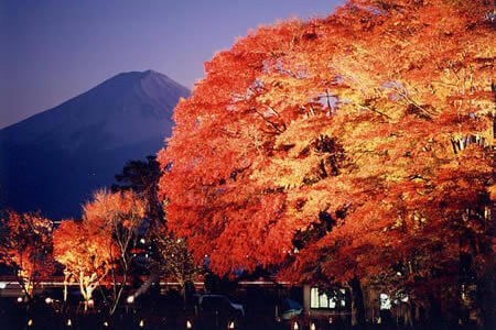 富士河口湖紅葉節