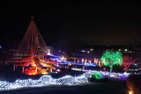 FANTASEUM, an Art Illumination at Lake Yamanaka