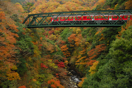 Autumn Colors