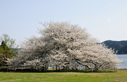 箱根園