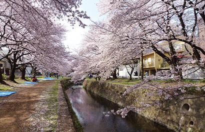 引地川沿岸