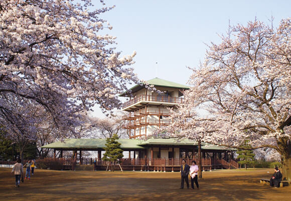 生田綠地