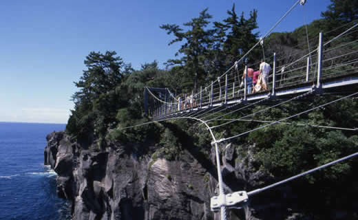 Jogasaki (Kadowakizaki suspension bridge)