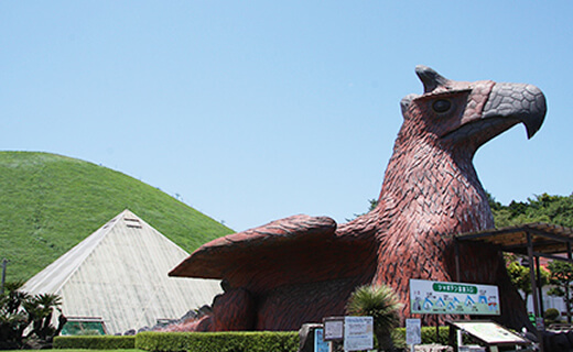 伊豆仙人掌公園