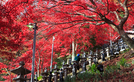 View the Buddhist statue at Oyama-dera Temple, a symbol of Oyama