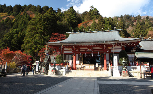 历史悠久的神社宁静地伫立