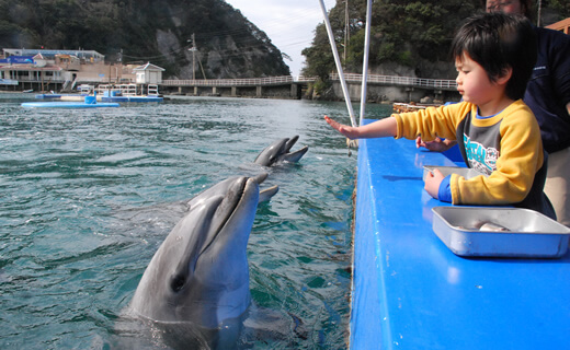 下田海中水族館