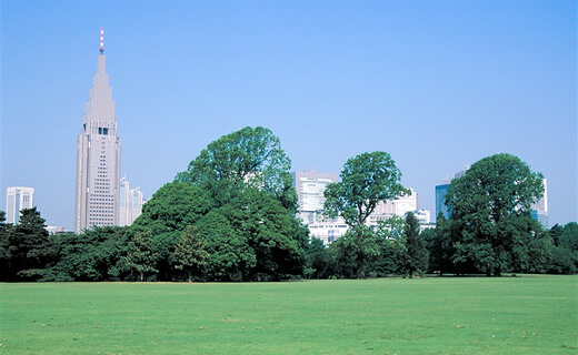 Shinjuku Gyoen National Garden