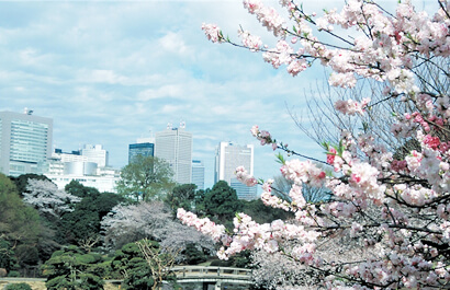 新宿御苑