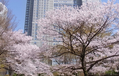 新宿中央公園