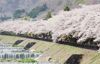 宫城野