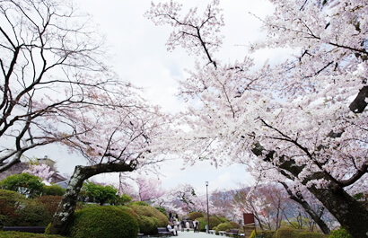 箱根強羅公園