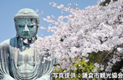 Kamakura Great Buddha - Kotoku-in temple