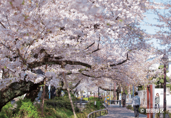 北澤川綠道