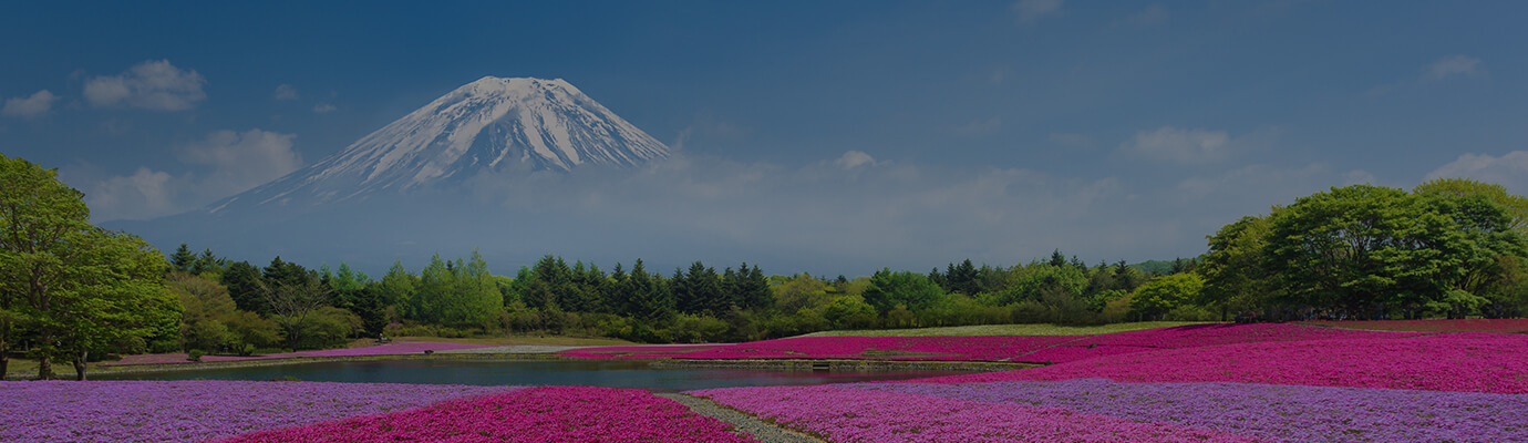 fuji image