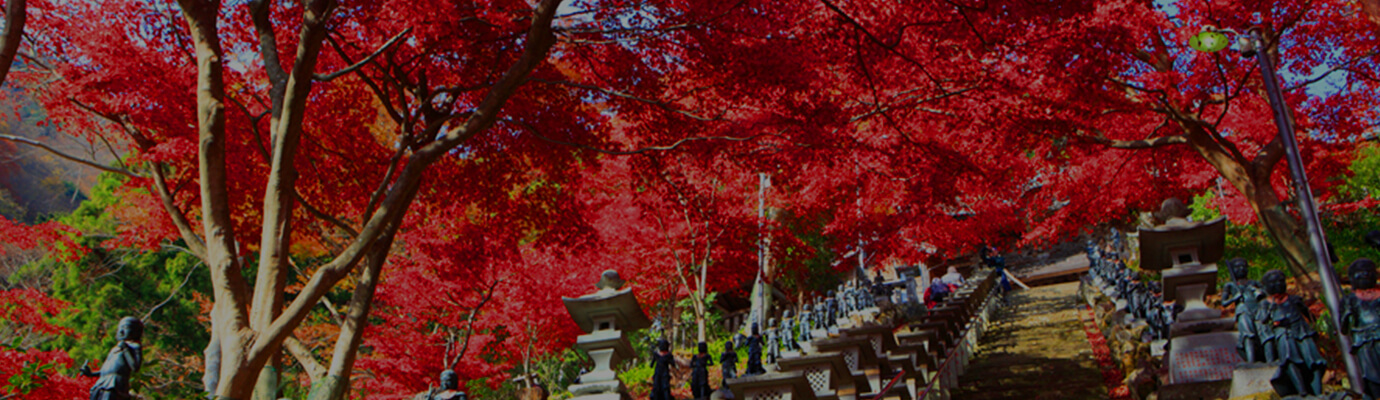 tanzawa image