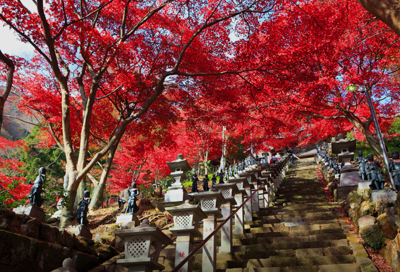 丹澤−大山