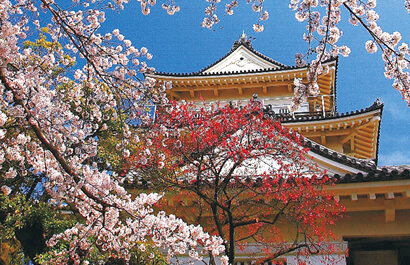 Odawara Castle Park