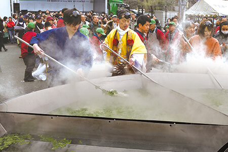 Oyama Tofu Festival