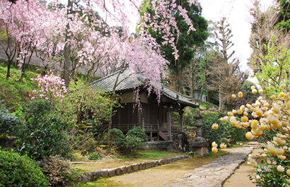 Shogenji Temple