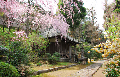 正眼寺